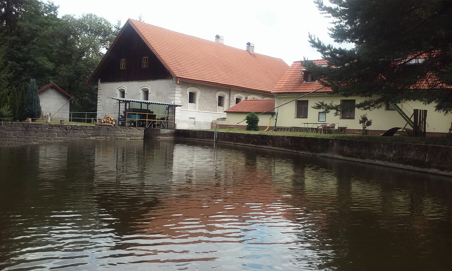 Ubytování U Mlýna Budčice