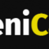 DeniCar  logo