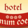 Hotel Vinum Coeli **** logo