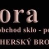 CORA - Ing. Dana Půlpánová logo