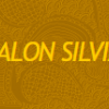Salon Silvia logo