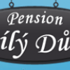 Pension Bílý dům logo