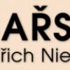 Tesařství Jindřich Niesner logo
