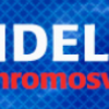INDELEC CZ – hromosvody s.r.o. logo