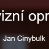 Jan Cinybulk logo
