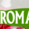Květiny Romantic logo