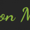 Pension Mánes - ubytování logo