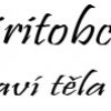 SPIRITOBCHOD logo