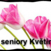 Domov pro seniory Květinka logo
