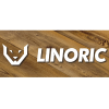 LINORIC - Ladislav Ric logo
