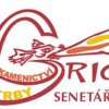 KAMENICTVÍ KRBY GRIC logo