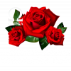 Pohřební služba Omega s.r.o. logo