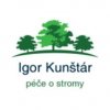 Igor Kunštár logo