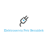 Elektroservis Petr Bernášek logo