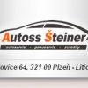 Autoss Šteiner - Bosch Car Servis logo