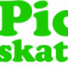 PICNIC SKATESHOP logo