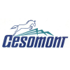 GESOMONT s.r.o. logo